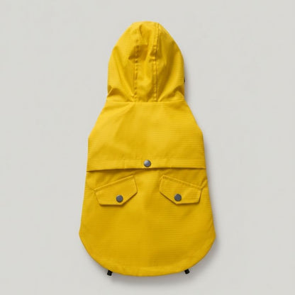 Rain Rover Frenchie Coat