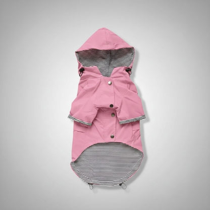 Rain Rover Frenchie Coat