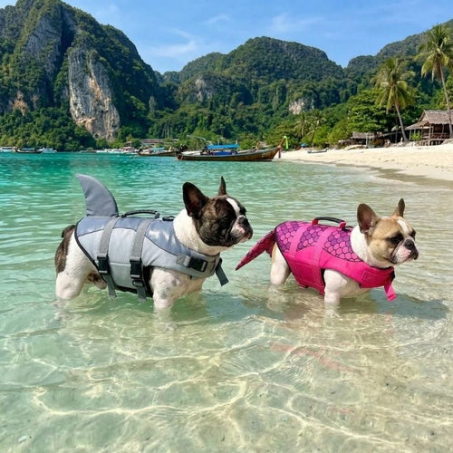 SharkyMermaid Frenchie Life Jacket