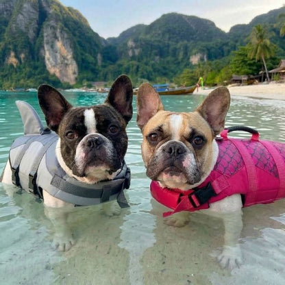 SharkyMermaid Frenchie Life Jacket