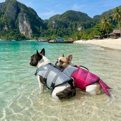 SharkyMermaid Frenchie Life Jacket