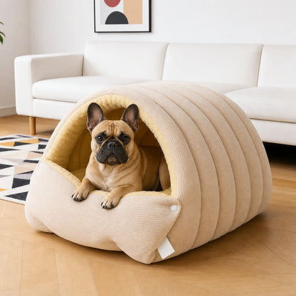 French Bulldog sitting in the beige Corduroy Frenchie Cave Bed in a living room