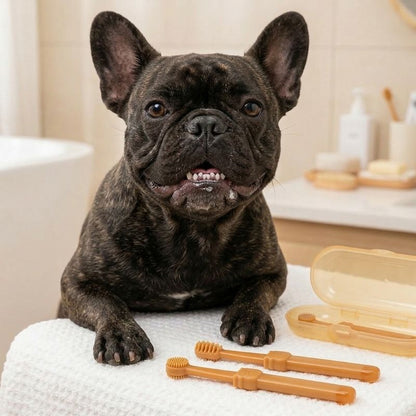 French Bulldog Toothbrush
