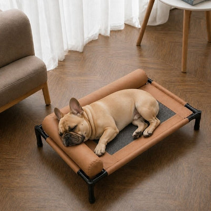 Frenchie Summer Bed With Pillow