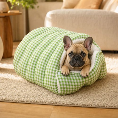 Fawn French bulldog resting inside the green plaid cave bed