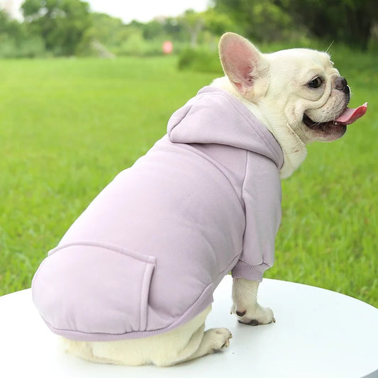 Basic French Bulldog Hoodie