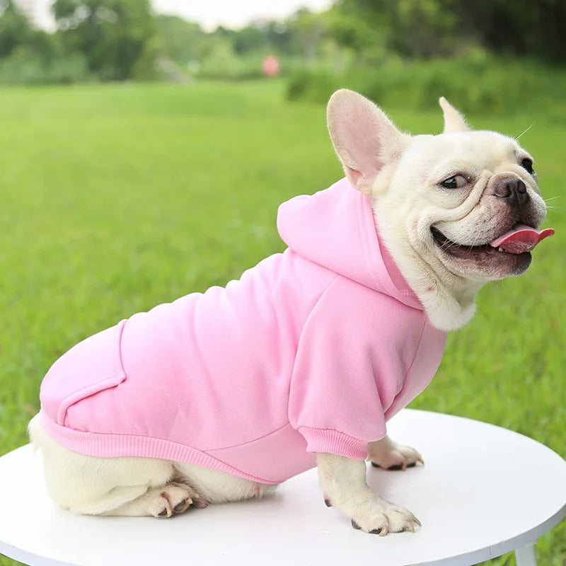 Basic French Bulldog Hoodie
