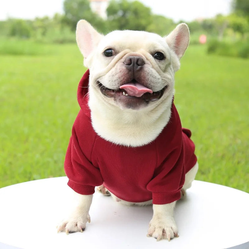 Basic French Bulldog Hoodie