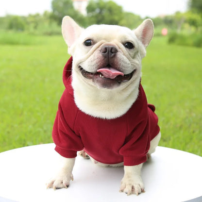 Basic French Bulldog Hoodie