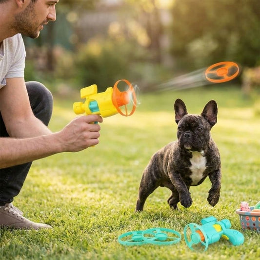 French Bulldog Flying Frisbee