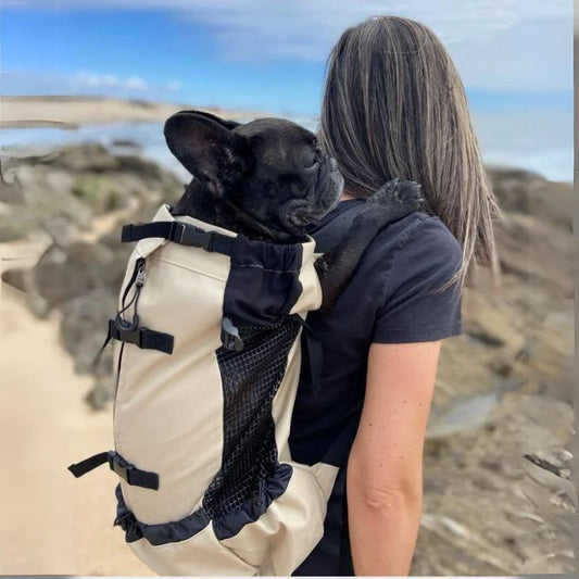 French Bulldog Mesh Carrier