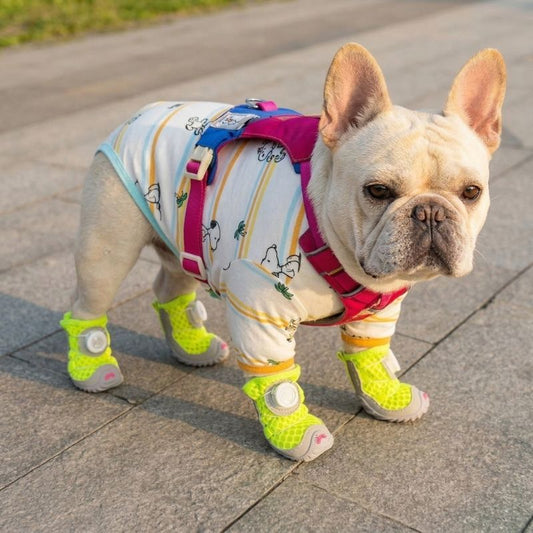 French Bulldog Mesh Sneakers