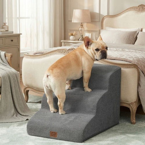 French Bulldog Stairs