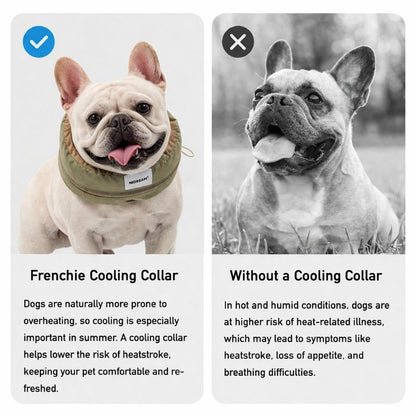 Frenchie Cooling Collar