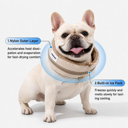 Frenchie Cooling Collar