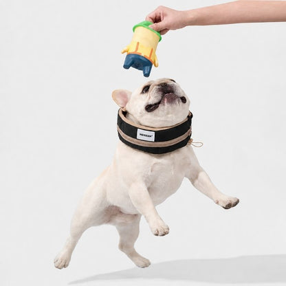 Frenchie Cooling Collar