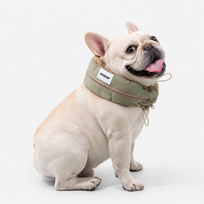 Frenchie Cooling Collar