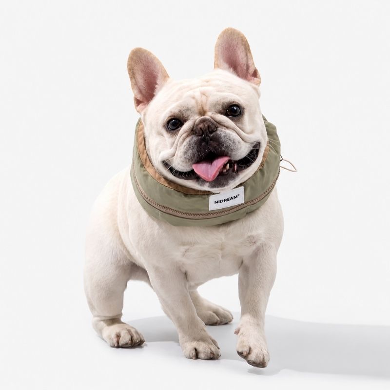 Frenchie Cooling Collar