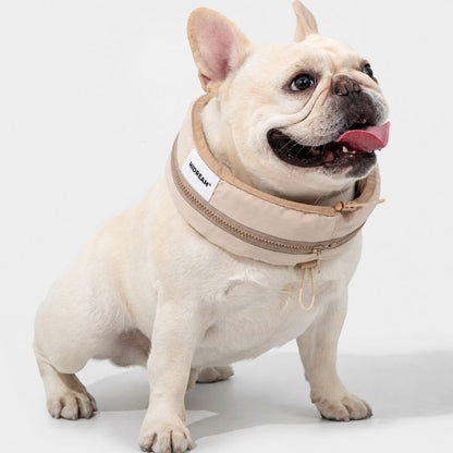 Frenchie Cooling Collar