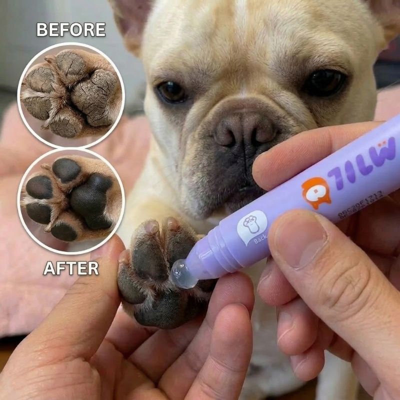 Frenchie Paw Care Roller