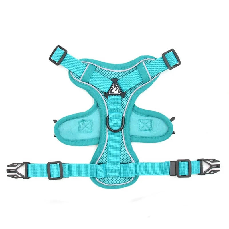 Mesh French Bulldog Harness & Leash