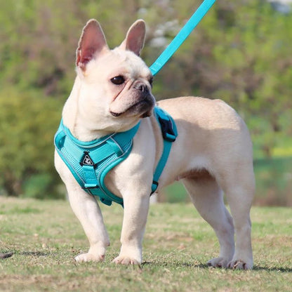 Mesh French Bulldog Harness & Leash