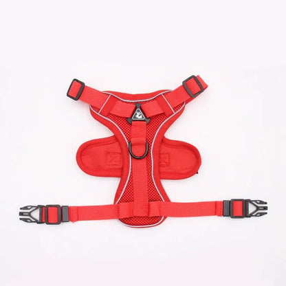 Mesh French Bulldog Harness & Leash