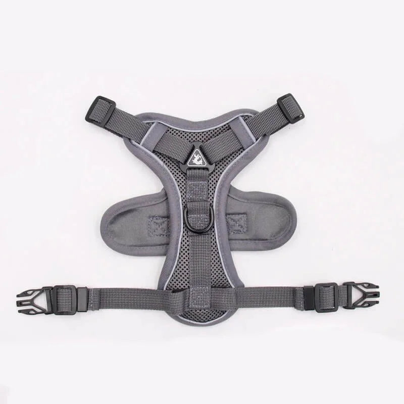 Mesh French Bulldog Harness & Leash