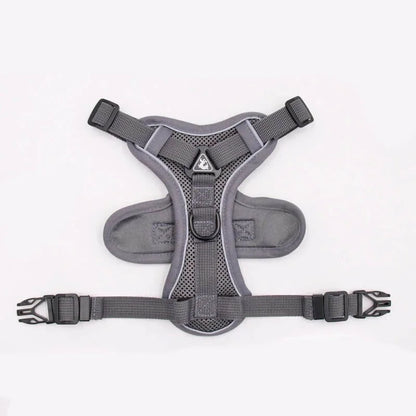 Mesh French Bulldog Harness & Leash