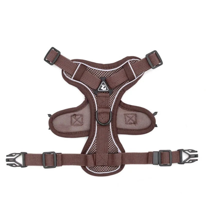 Mesh French Bulldog Harness & Leash