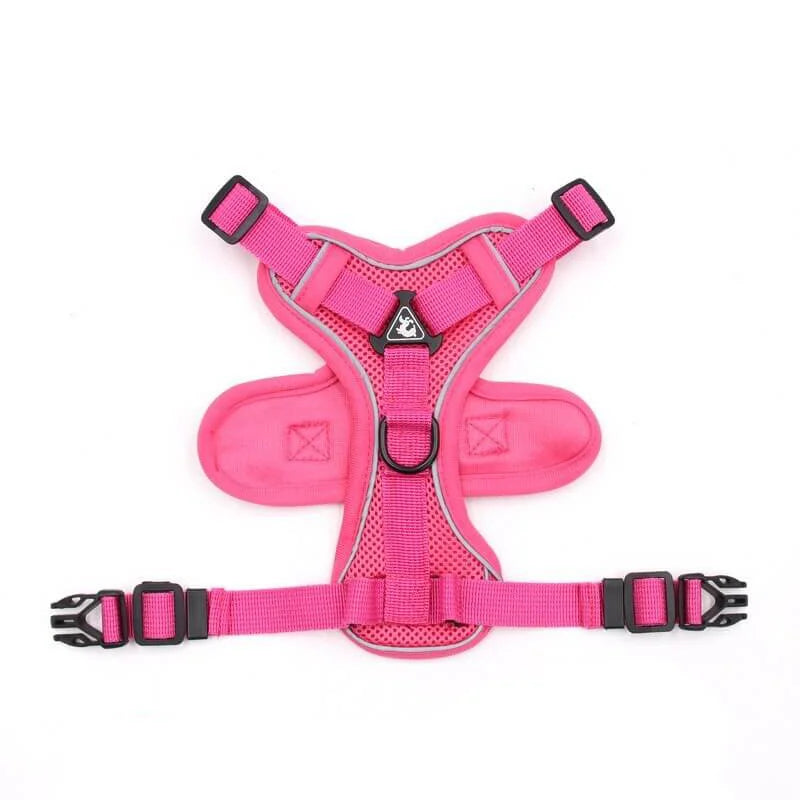 Mesh French Bulldog Harness & Leash