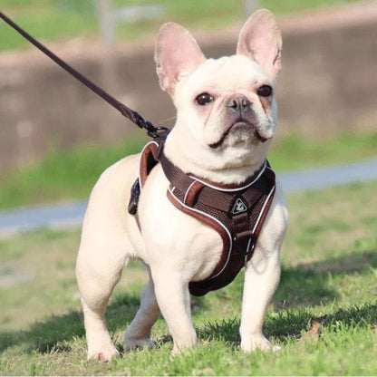 Mesh French Bulldog Harness & Leash