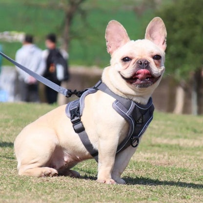 Mesh French Bulldog Harness & Leash