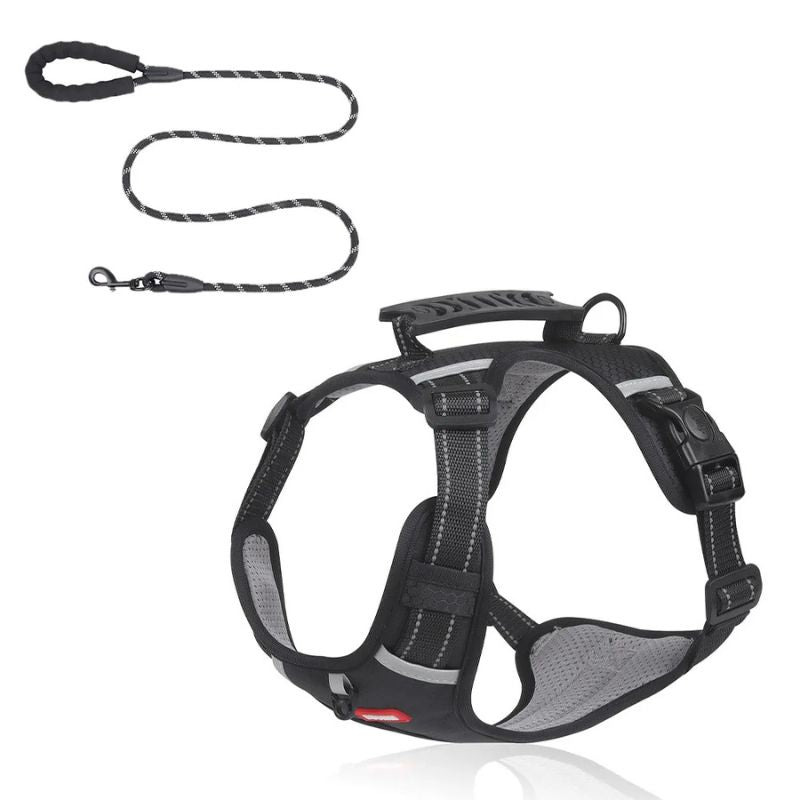 Mesh Reflective French Bulldog Harness