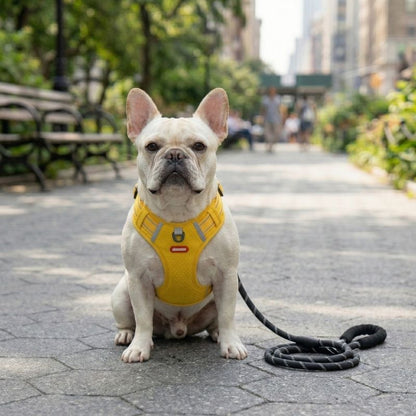 Mesh Reflective French Bulldog Harness
