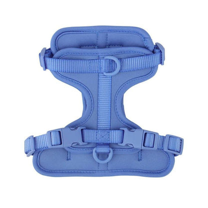 No-Pull French Bulldog Harness
