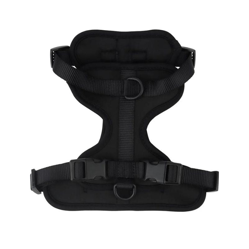 No-Pull French Bulldog Harness