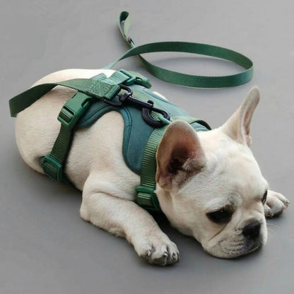 No-Pull French Bulldog Harness