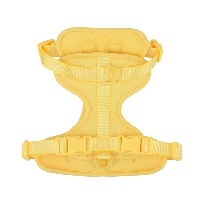 No-Pull French Bulldog Harness