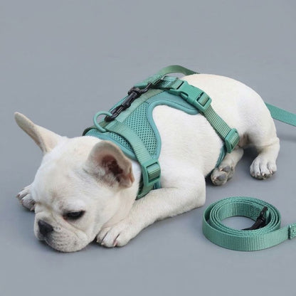No-Pull French Bulldog Harness