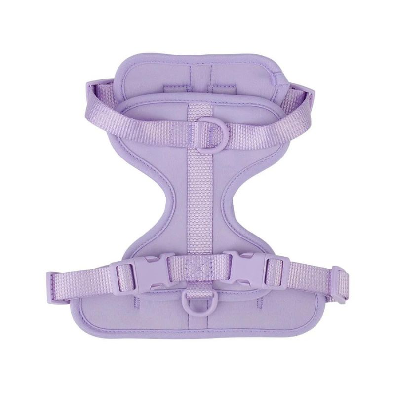 No-Pull French Bulldog Harness
