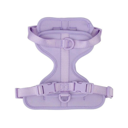No-Pull French Bulldog Harness