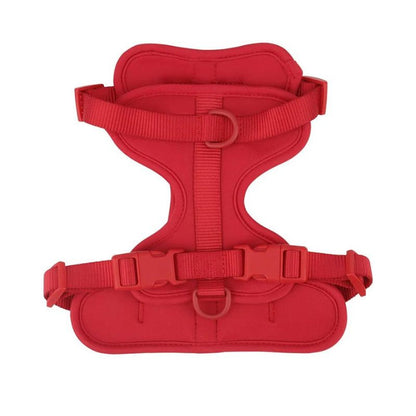 No-Pull French Bulldog Harness