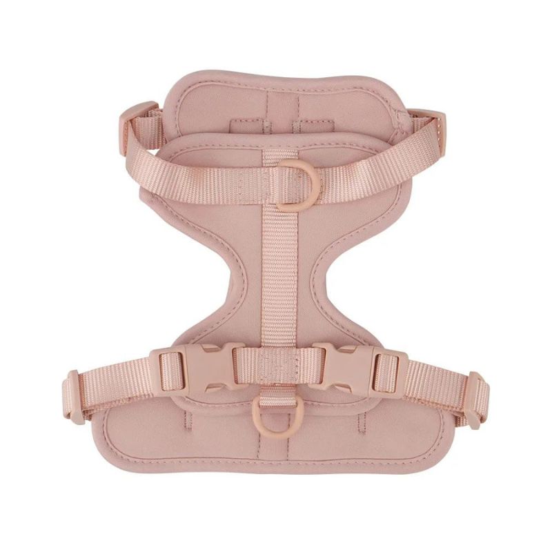 No-Pull French Bulldog Harness