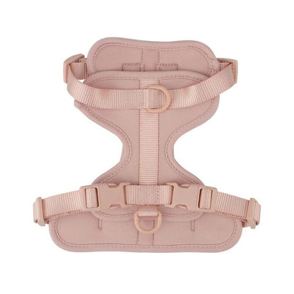 No-Pull French Bulldog Harness