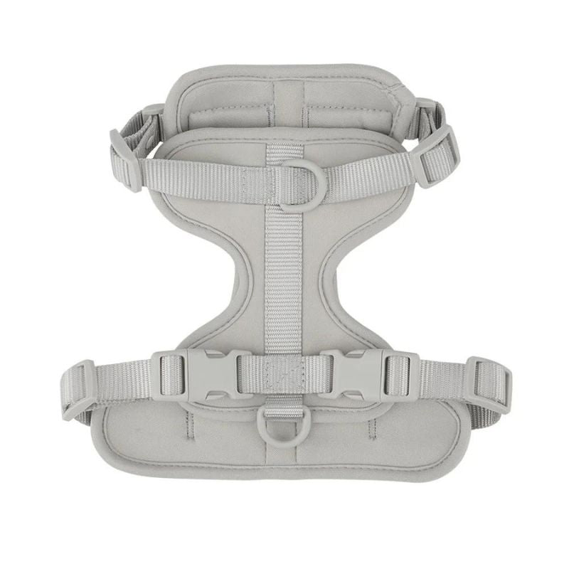 No-Pull French Bulldog Harness