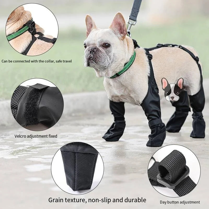 Orthopedic French Bulldog Boots