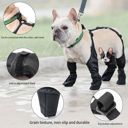 Orthopedic French Bulldog Boots