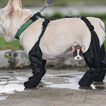 Orthopedic French Bulldog Boots