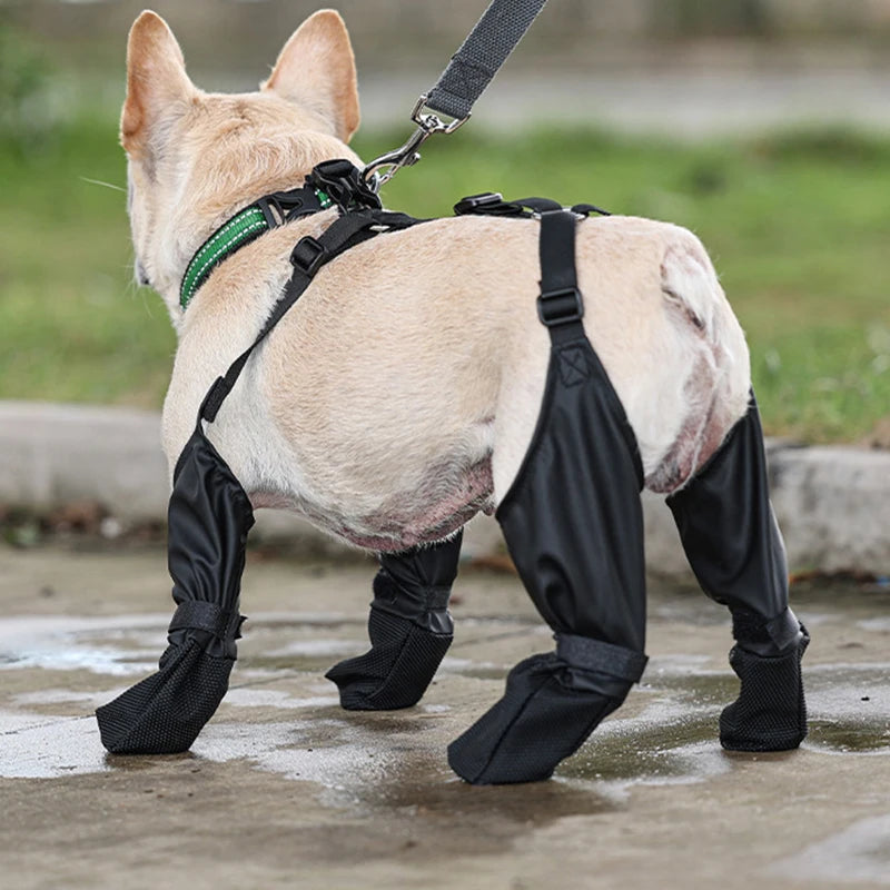 Orthopedic French Bulldog Boots
